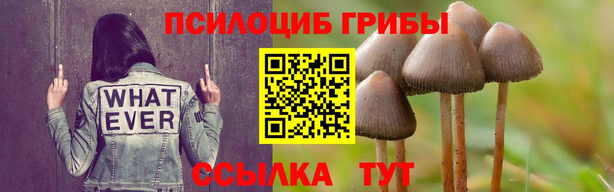 Сафоново  Псилоцибиновые грибы Psilocybine cubensis  Галлюциногенные грибы GOLDEN TEACHER  Вход с VPN 